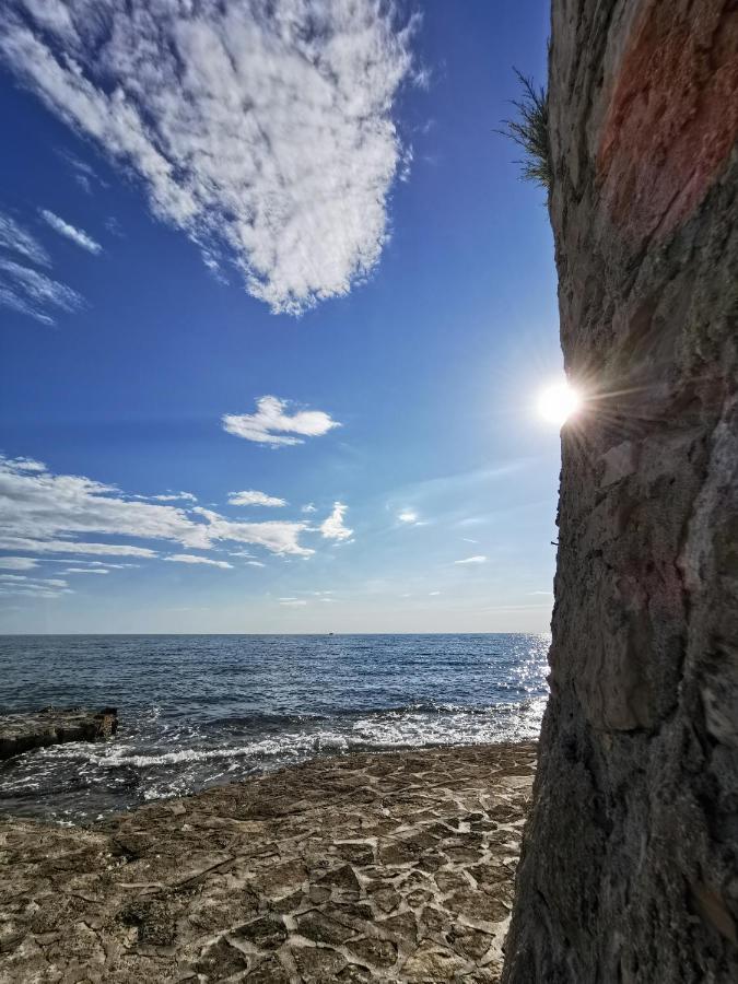 Novigrad Istria Mirta Deluxe Superior 5 Star Apartment, Your Piece Of Heaven By The Sea & Park, With Sea & Park View מראה חיצוני תמונה