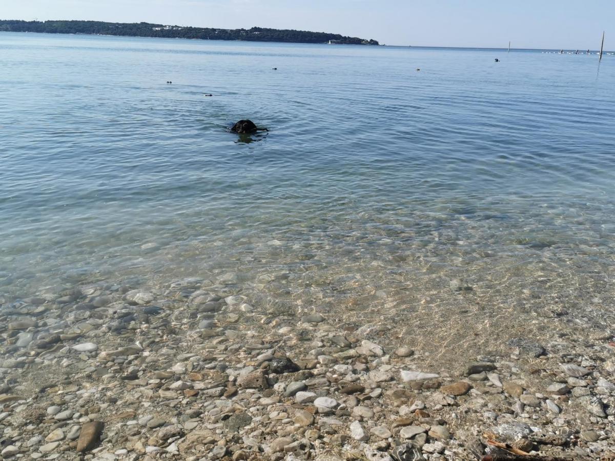 Novigrad Istria Mirta Deluxe Superior 5 Star Apartment, Your Piece Of Heaven By The Sea & Park, With Sea & Park View מראה חיצוני תמונה