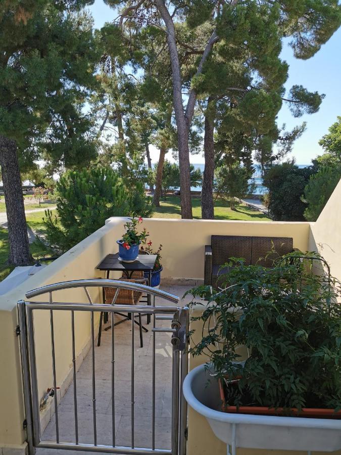 Novigrad Istria Mirta Deluxe Superior 5 Star Apartment, Your Piece Of Heaven By The Sea & Park, With Sea & Park View מראה חיצוני תמונה